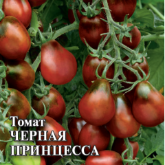 Томат Черная Принцесса 5,0 г