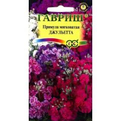 Примула Джульетта, мягковатая* 10 шт.