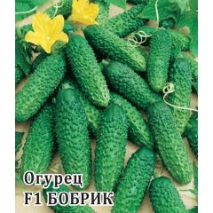 Огурец Бобрик F1 250 шт. корнишон