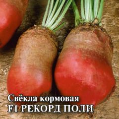 Свекла кормовая Рекорд Поли 0,5 кг