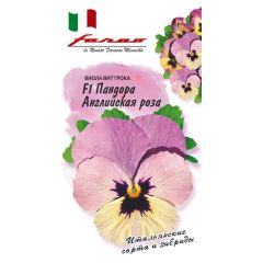 Виола Пандора Английская Роза 5 шт. серия Фарао