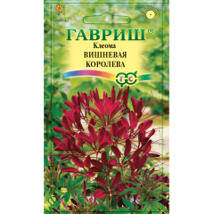 Клеома Вишневая королева 0,3 г