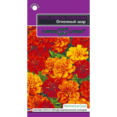 Бархатцы откл. Огненный шар (Тагетес) хамелеон! 5 шт. серия Эксклюзив