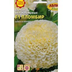 Бархатцы Пломбир F1 5 шт  Аэлита