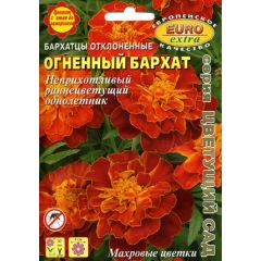 Бархатцы откл. Огненный бархат 0,2 г Аэлита