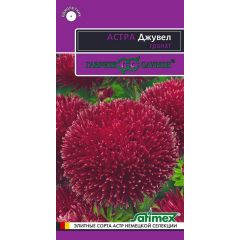 Астра Джувел Гранат, однолетняя (игольчато-коготковая)* 0,05 г серия Эксклюзив