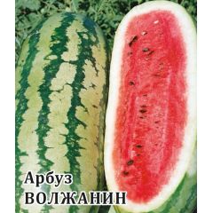 Арбуз Волжанин 50,0 г