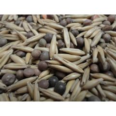 Вико-ржаная смесь 0,5 кг