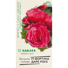 Бегония Фортуна Дарк роуз F1 клубнев. гранул. 4 шт. пробирка Саката серия Эксклюзив