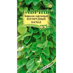 Кирказон скрученный Изумрудный каскад 3 шт.
