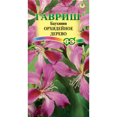 Баухиния пурпурная Орхидейное дерево 3 шт.