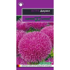 Астра Джувел Пурпурит, однолетняя (игольчато-коготковая)* 0,05 г серия Эксклюзив