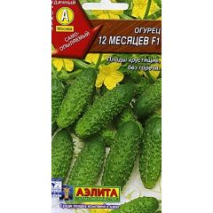 Огурец 12 месяцев F1 0,25 г Аэлита