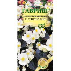 Бегония Сенатор Вайт F1 вечноцв. 4 шт. пробирка Саката серия Элитная клумба