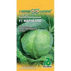 Капуста белокоч. Марчелло F1 10 шт. для квашения (Голландия)