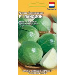 Капуста белокоч. Пандион F1 10 шт. для потр. в свежем виде (Голландия)