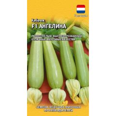 Кабачок Ангелина F1 5 шт. (Голландия)
