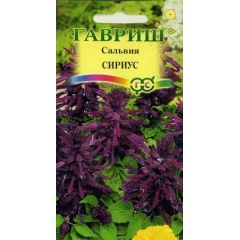 Сальвия Сириус,* карликовая 4 шт.