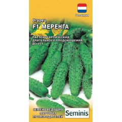 Огурец Меренга F1 5 шт. корнишон (Голландия)