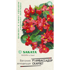 Бегония Амбассадор Скарлет F1 вечноцв. 4 шт. пробирка Саката серия Элитная клумба