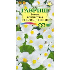Бегония Вариация белая F1 вечноцв. гранул. 5 шт. пробирка