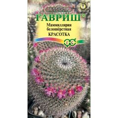 Маммиллярия Красотка* 2 шт.