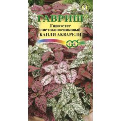 Гипоэстес Капли акварели* 5 шт.