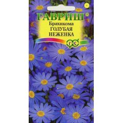 Брахикома иберолистная Голубая неженка* 0,05 г