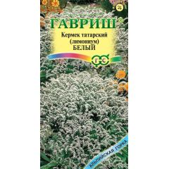 Лимониум (Кермек) татарский Белый 0,05 г серия Альпийская горка