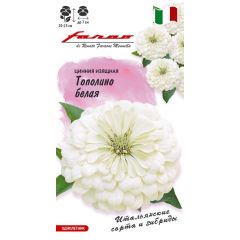 Цинния Тополино белая 6 шт.