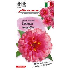 Цинния Тополино лососевая 6 шт.