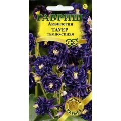 Аквилегия Тауэр темно-синяя, обыкновенная* 10 шт. серия Элитная клумба