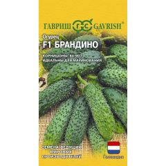 Огурец Брандино F1 5 шт. (Голландия)