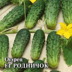 Огурец Родничок F1 10,0 г
