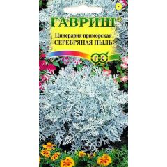 Цинерария приморская Серебряная пыль* 0,1 г