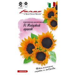 Подсолнечник декоративный Мэйджик оранж F1 5шт.
