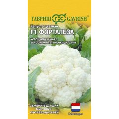 Капуста цветная Форталеза F1 10 шт. (Голландия)