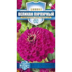 Цинния Великан пурпурный 0,3 г серия Русский богатырь
