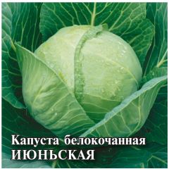 Капуста белокоч. Июньская 25,0 г (ранняя)