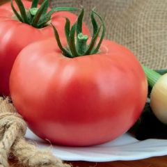 Томат Евпатор розовый F1 250 шт.