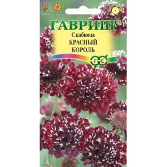 Скабиоза темнопурпурная Красный король махр. 7 шт.