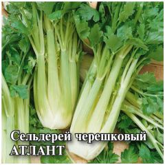 Сельдерей черешковый Атлант 5,0 г
