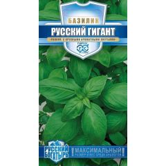 Базилик Русский гигант, зеленый 0,1 г серия Русский богатырь