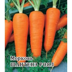 Морковь Шантенэ Роял 25,0 г