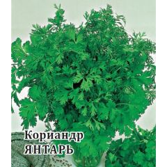 Кориандр Янтарь 25,0 г
