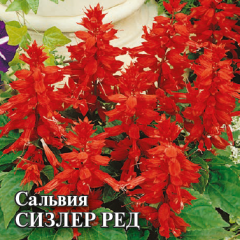 Сальвия Сизлер Ред 100 шт.