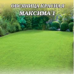 Овсяница красная Максима1 0,6 кг