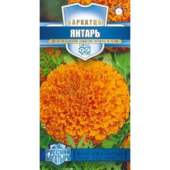 Бархатцы пр. Янтарь (30 см) (Тагетес) 0,1 г серия Русский богатырь