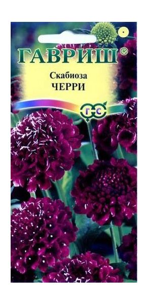 Скабиоза пурпурная Черри, махр. 0,2 г