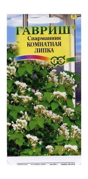 Семена Спармания комнатная Липка 3 шт
